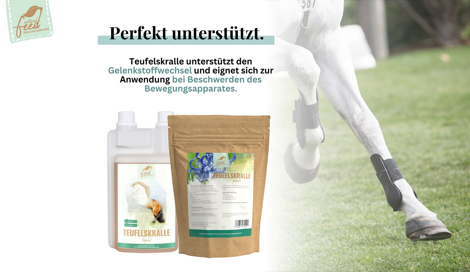 Schmerzende Gelenke bei Hund und Pferd? Teufelskralle kann Linderung verschaffen.