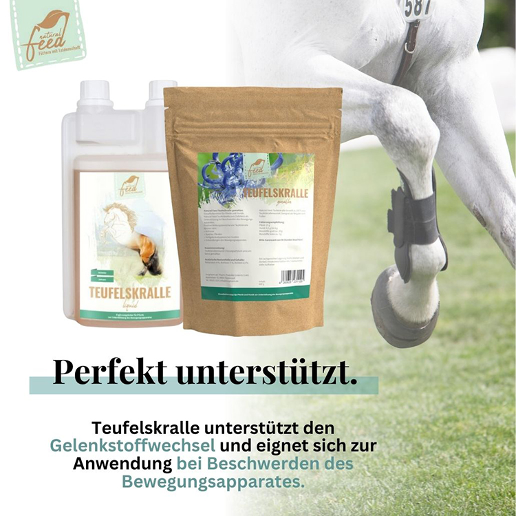 Schmerzende Gelenke bei Hund und Pferd? Teufelskralle kann Linderung verschaffen.