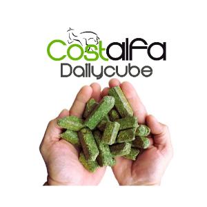 Costalfa Daylicube