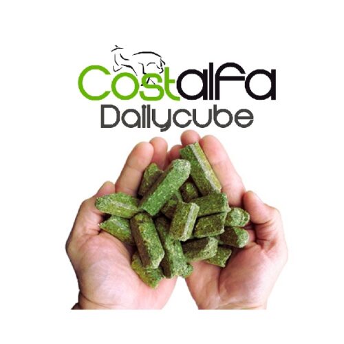 Costalfa Daylicube