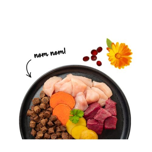 Sanabelle Juicy Land-Ente