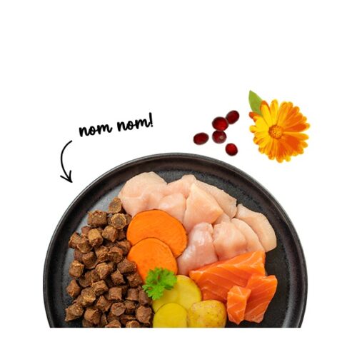 Sanabelle Juicy Nordsee-Lachs