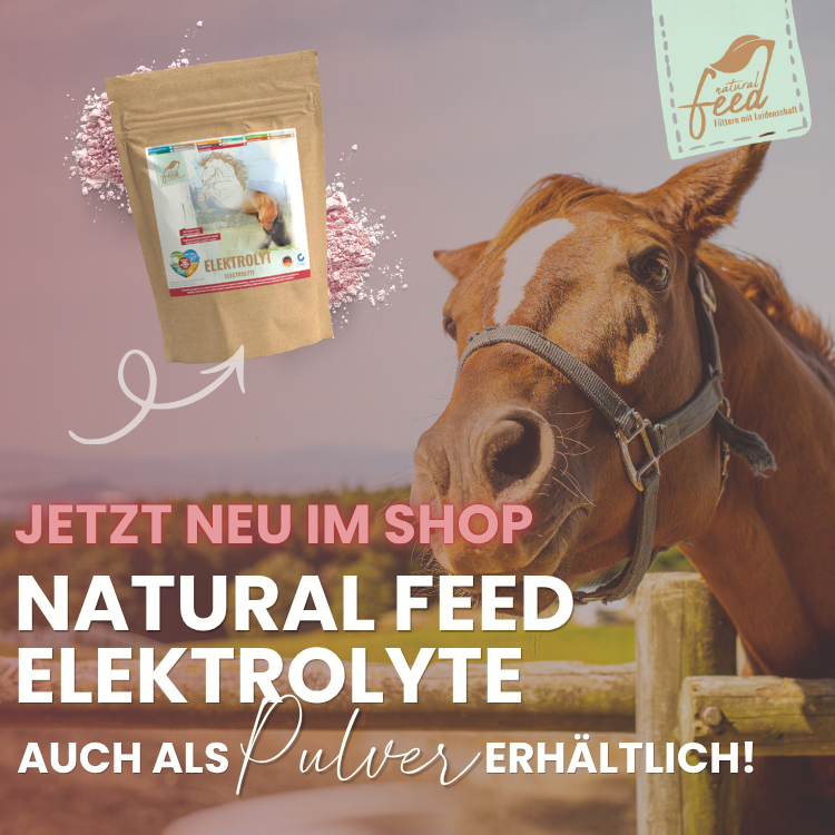 https://naturalfeed.inropharm.de/artikel/elektrolyt/