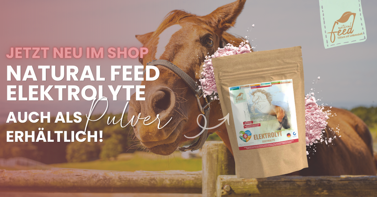 https://naturalfeed.inropharm.de/artikel/elektrolyt/