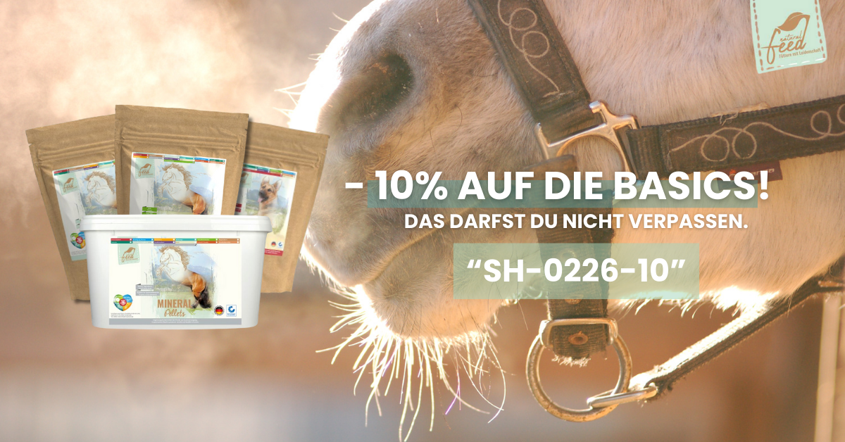Natural Feed Basics für die richtige Versorgung für Dein Pferd und Deinen Hund