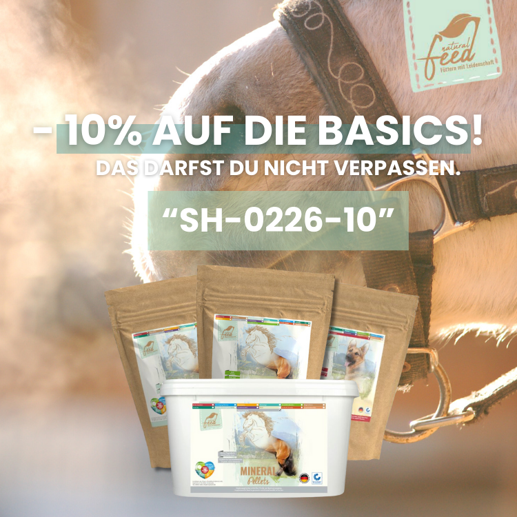 Natural Feed Basics für die richtige Versorgung für Dein Pferd und Deinen Hund