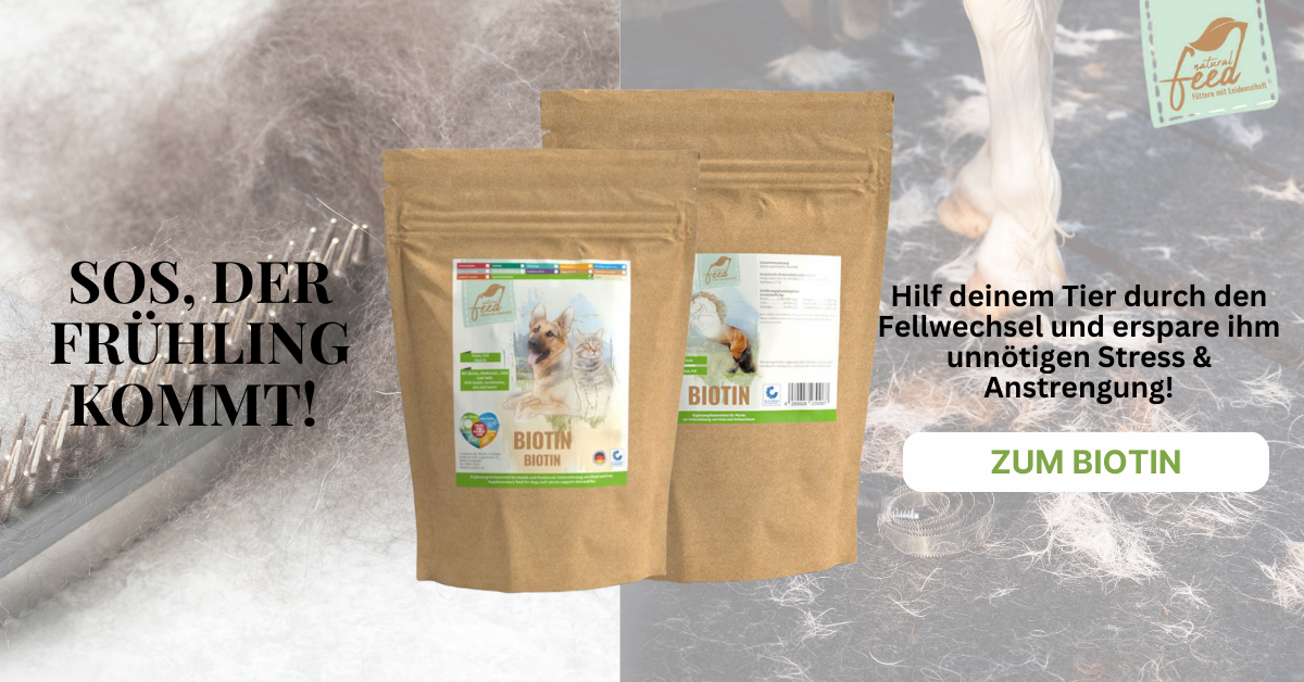 Biotin Hund / Pferd. Hilf Deinem Tier durch den Fellwechsel und erspare ihm unnötigen Stress und Anstrengung.