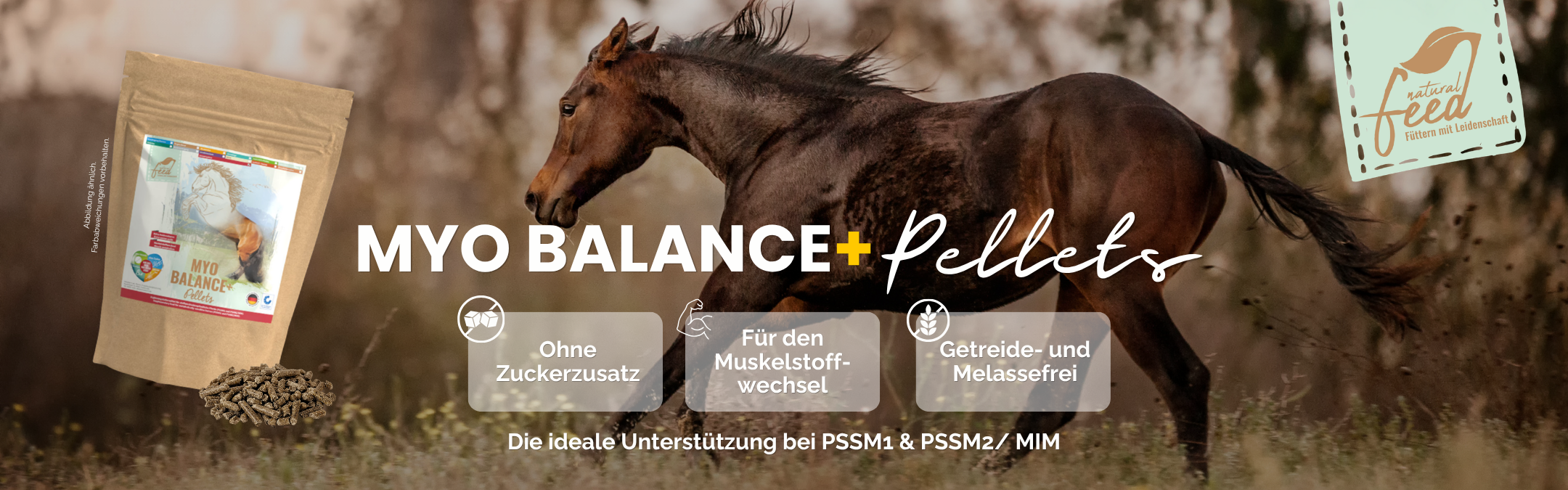 Muskelperformance Pferd
