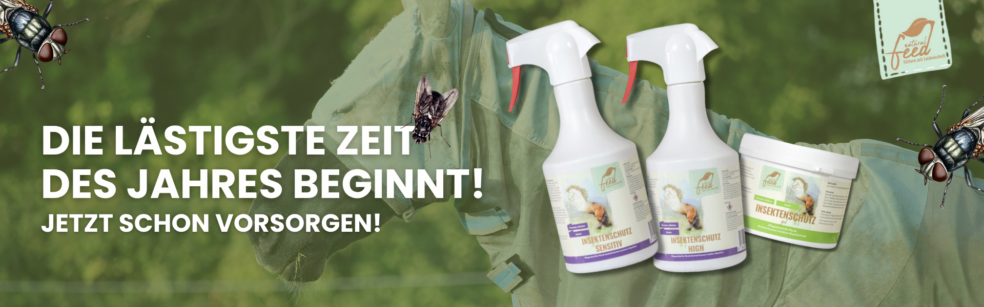 Fliegenmittel für die lästige Zeit des Jahres