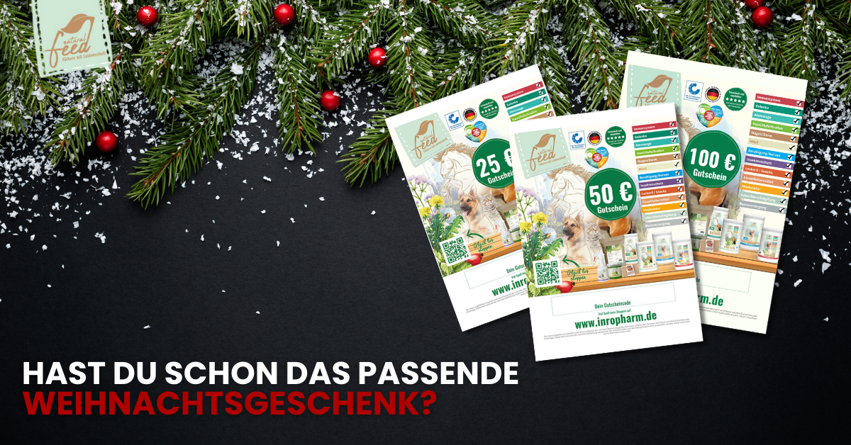 Geschenkgutschein Weihnachten Natural Feed