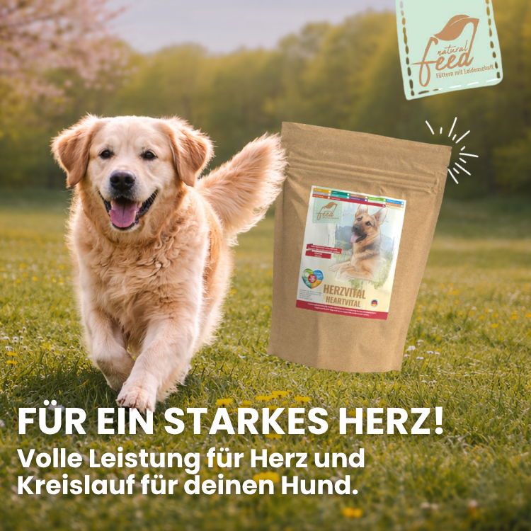 Herzvital von Natural Feed für Deinen Hund
