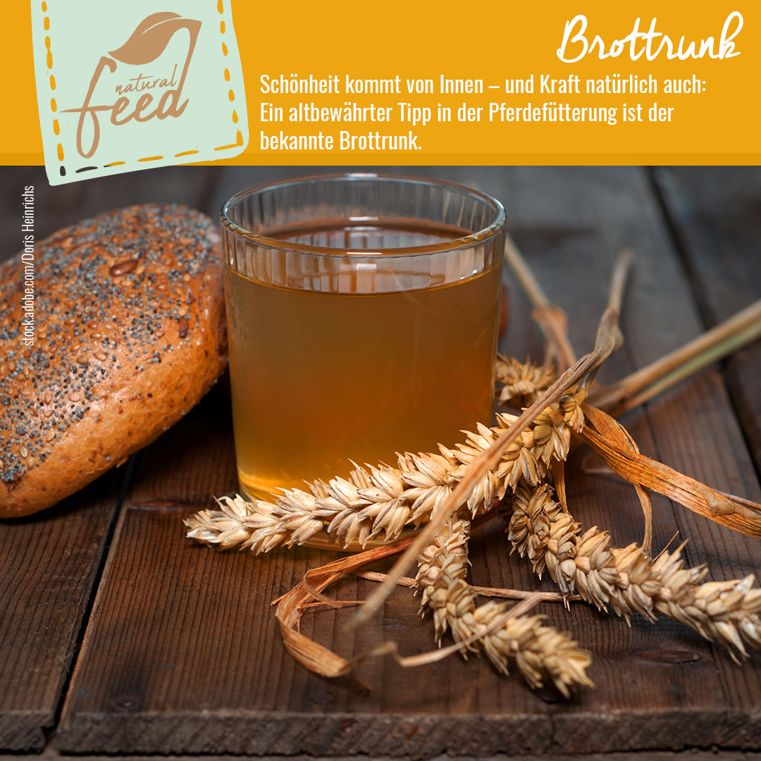 kartoffeln düngen bio Kartoffelerde Bio main image 0