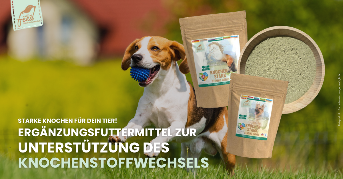 Natural Feed Knochenstoffwechsel Ergänzungsfutter für Deinen Hund