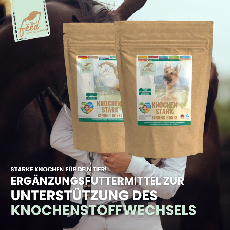 Knochenstark für Pferd und Hund zur Unterstützung der Gelenke