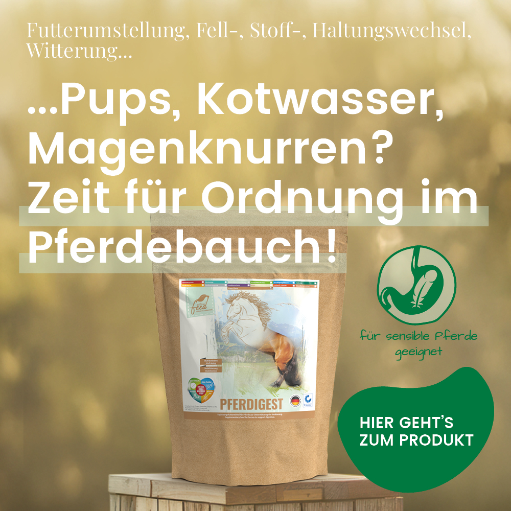 Zur gezielten Unterstützung der Darmflora und bei Verdauungsstörungen PFERDIGEST hilft, die Verdauung sanft in Balance zu bringen