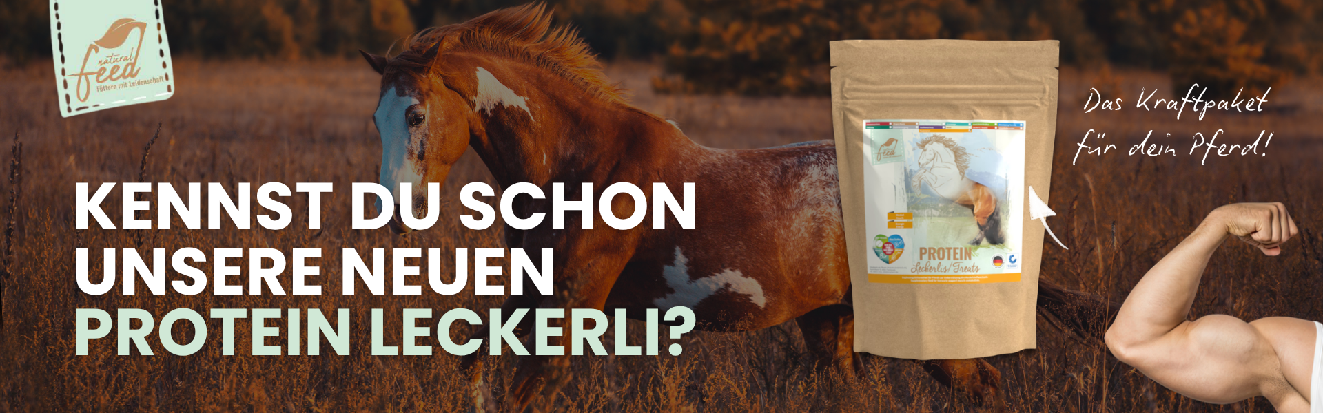 Natural Feed Protein Leckerli Kraftpaket für Dein Pferd